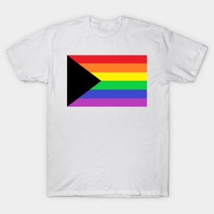 Demi-Homosexual/Gay Pride Flag T-Shirt